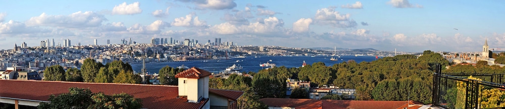 Le Safran Palace Hotel photo4