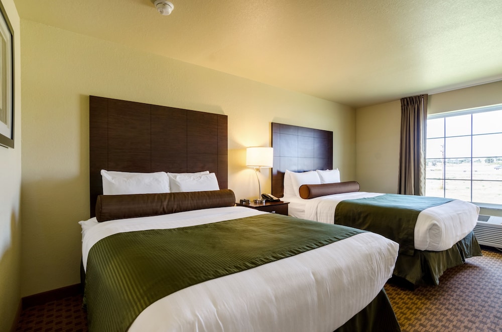 Cobblestone Hotel & Suites - Jefferson 7/39