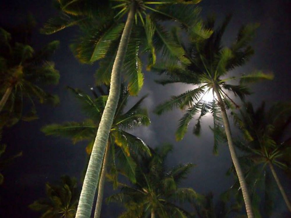 Mahaweva Nature Resort 19/26