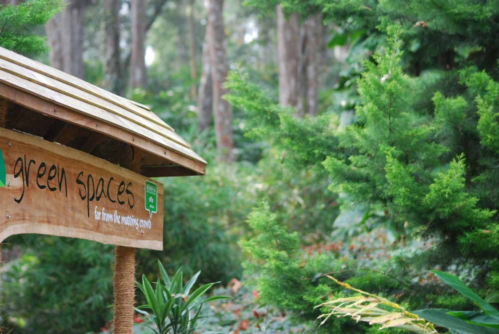 GREEN SPACES MUNNAR 2/52