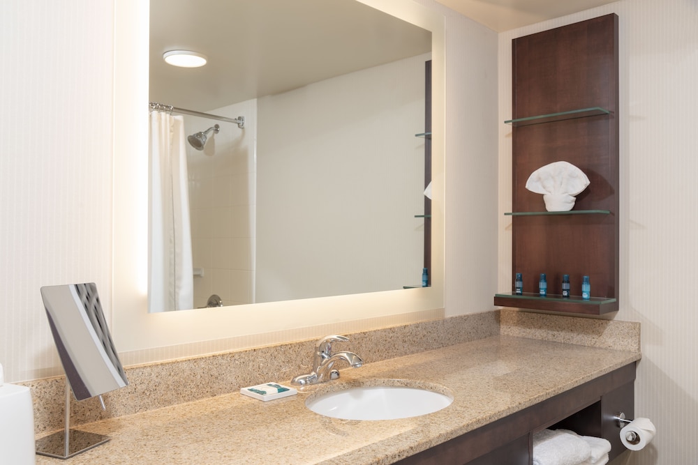 Delta Hotels By Marriott Kalamazoo Conference Center 49/50