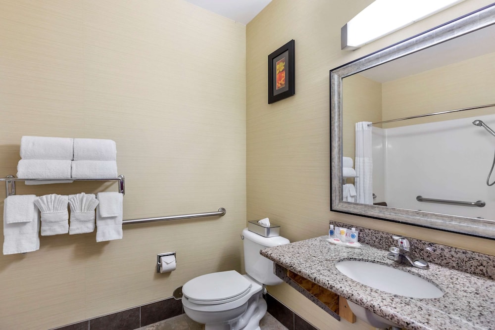 Comfort Suites Denver Tech Center 12/41