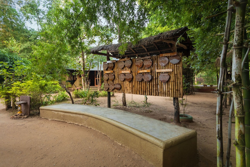 Pench Jungle Camp 67/71