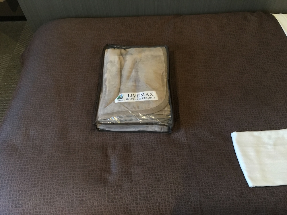 Hotel Livemax BUDGET amagasaki 31/47