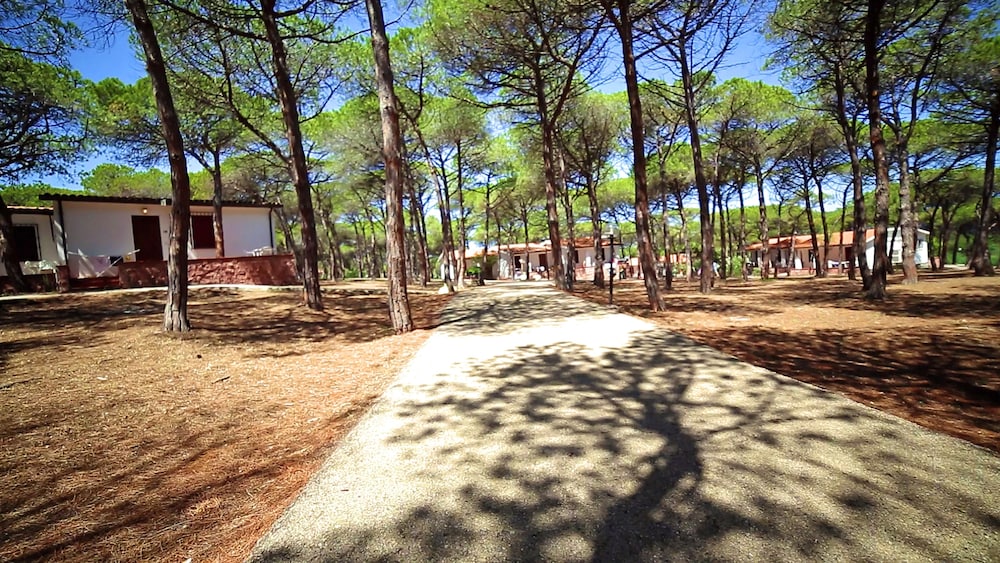 Villaggio Dei Pini 44/50