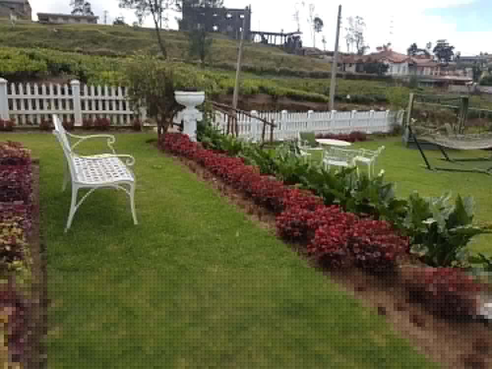 The Tea Garden 5/55