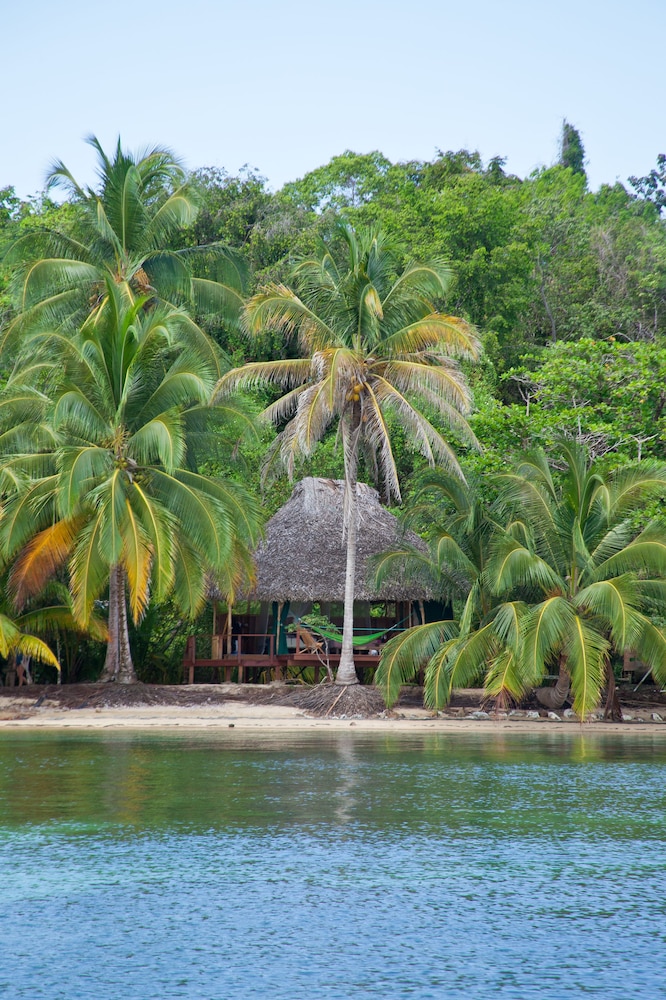 Al Natural Resort 36/46