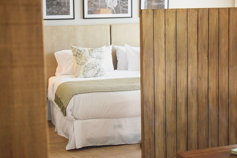 Cyan Soho Neuquen Hotel 28/65
