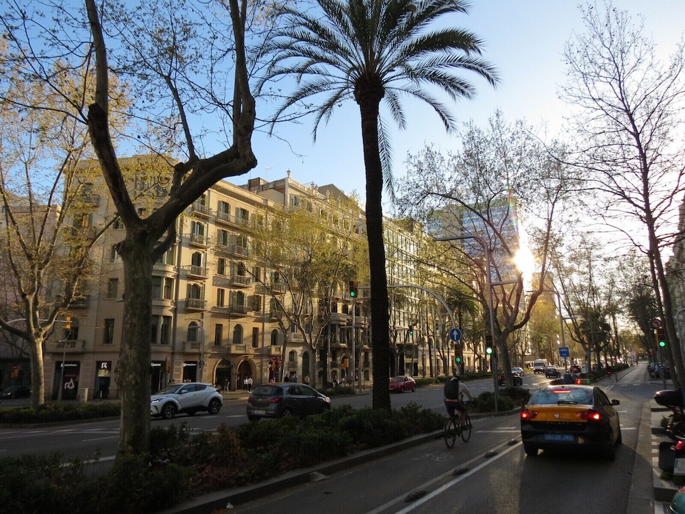 Hostal Petit Príncep 30/45