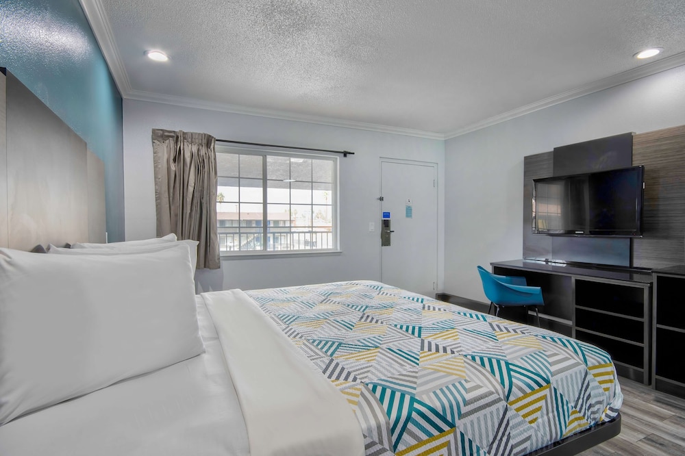 SUITE, KING BED