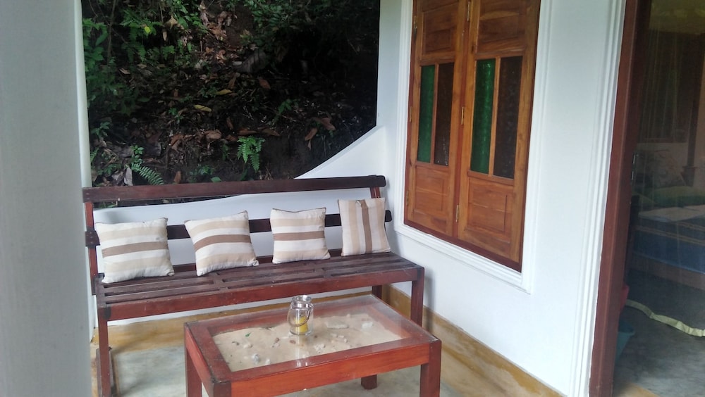 The Jungle House 3/50