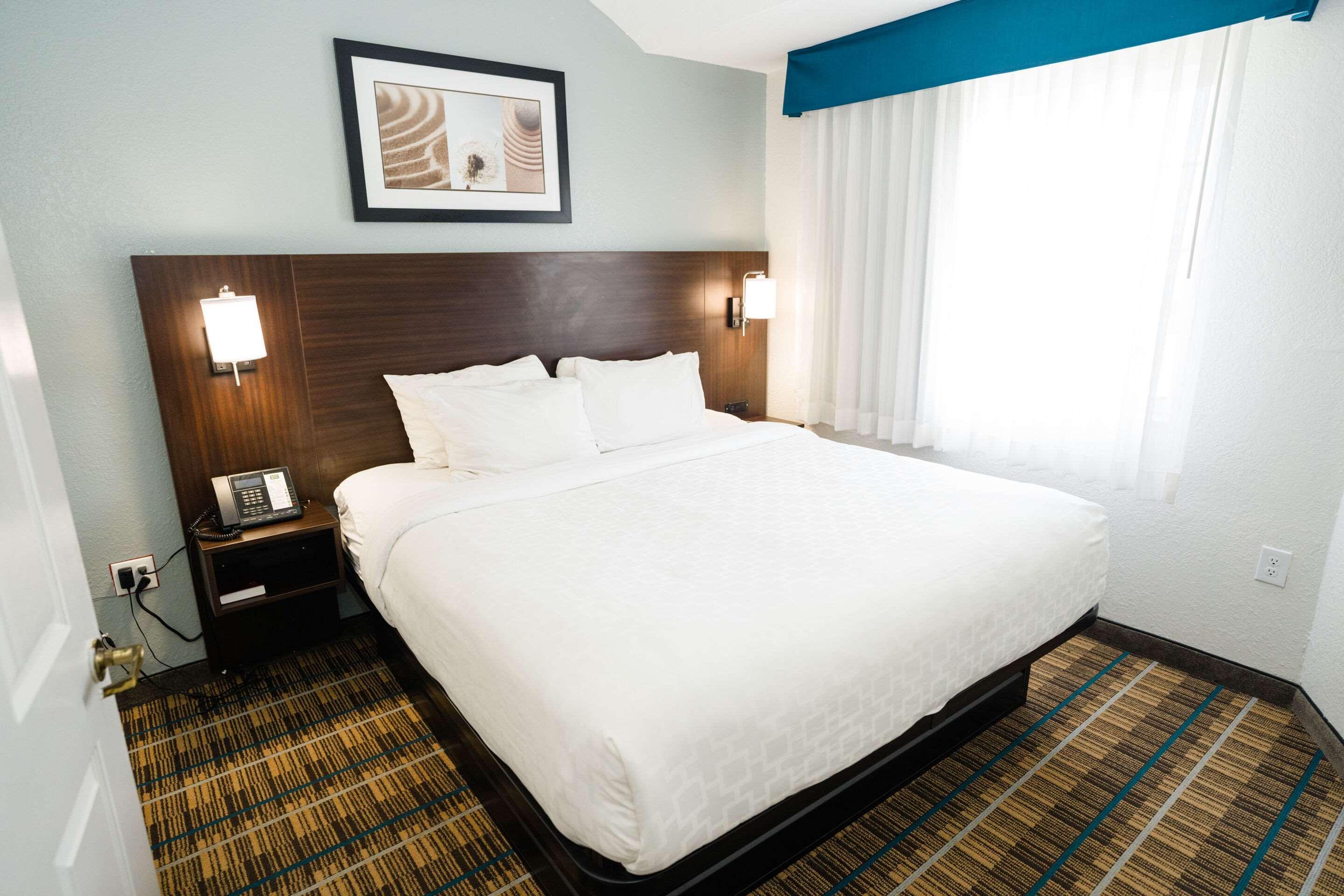 Suite, King Bed