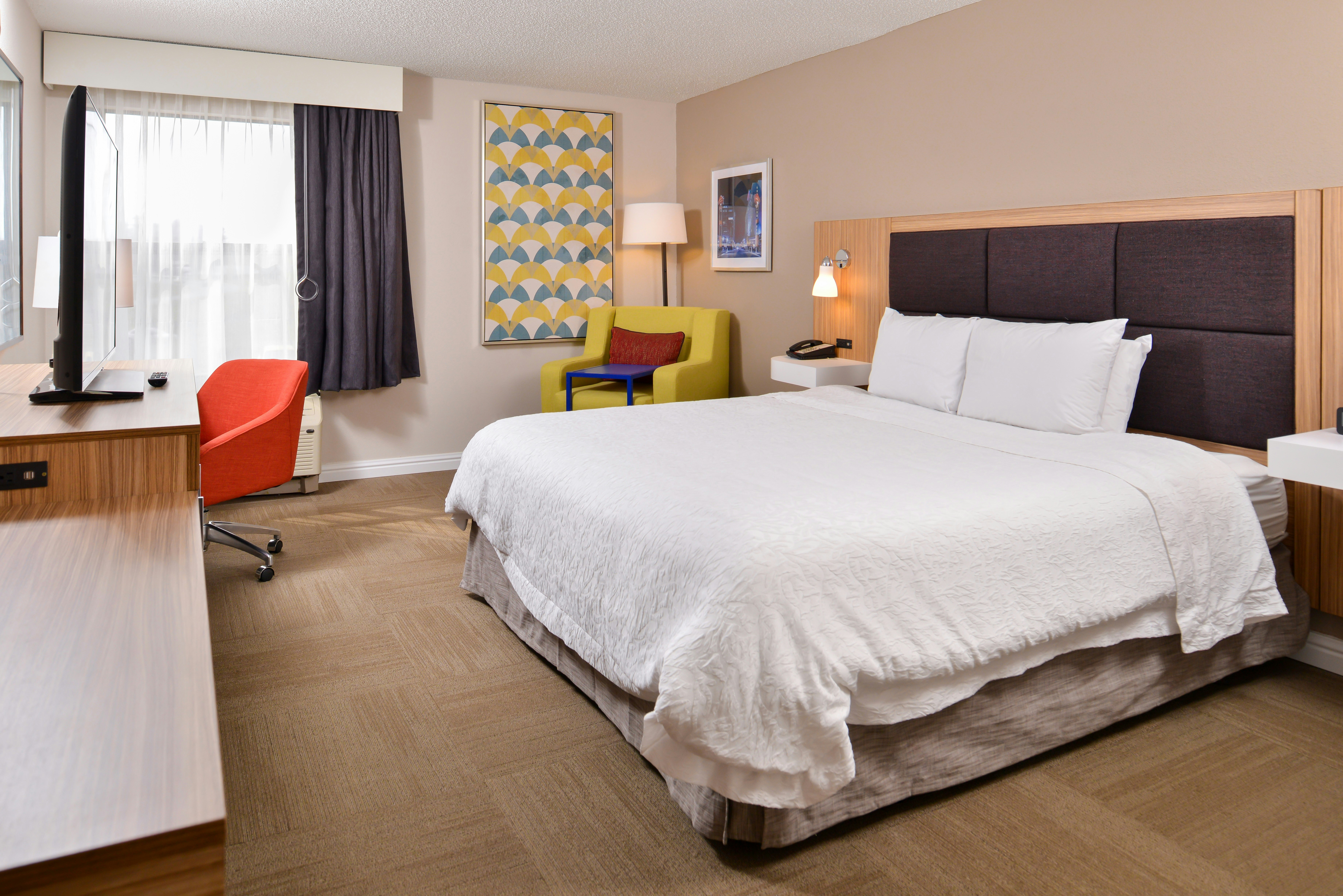 Room, King Bed