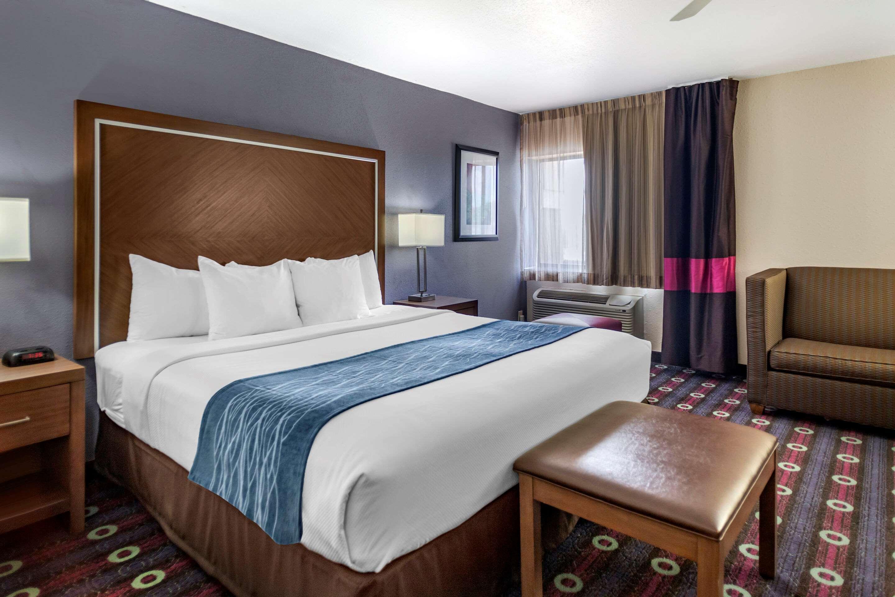 SUITE, KING BED