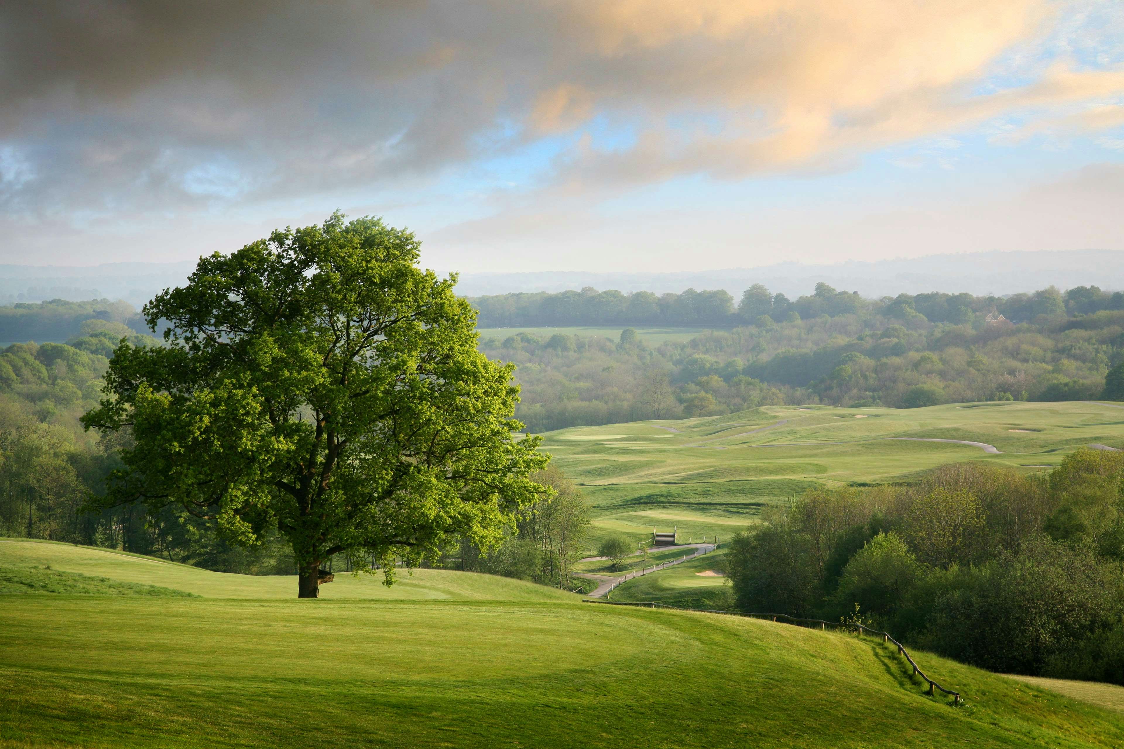 Dale Hill Hotel Golf Club 27/32