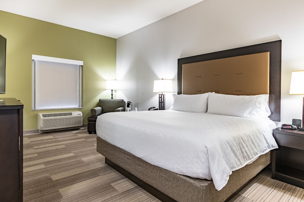 Holiday Inn Express & Suites New Martinsville 18/73