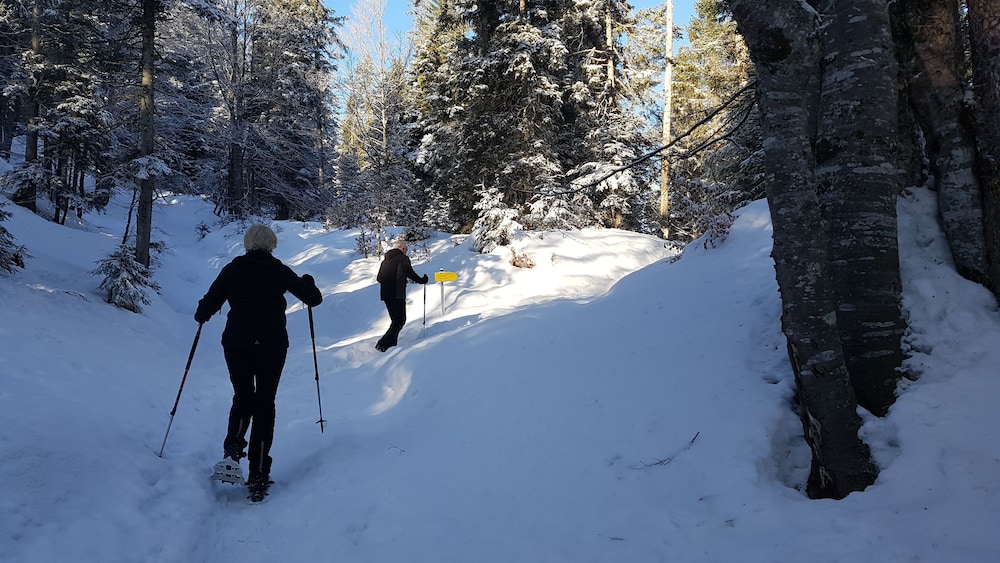 Bergresort Seefeld 39/50