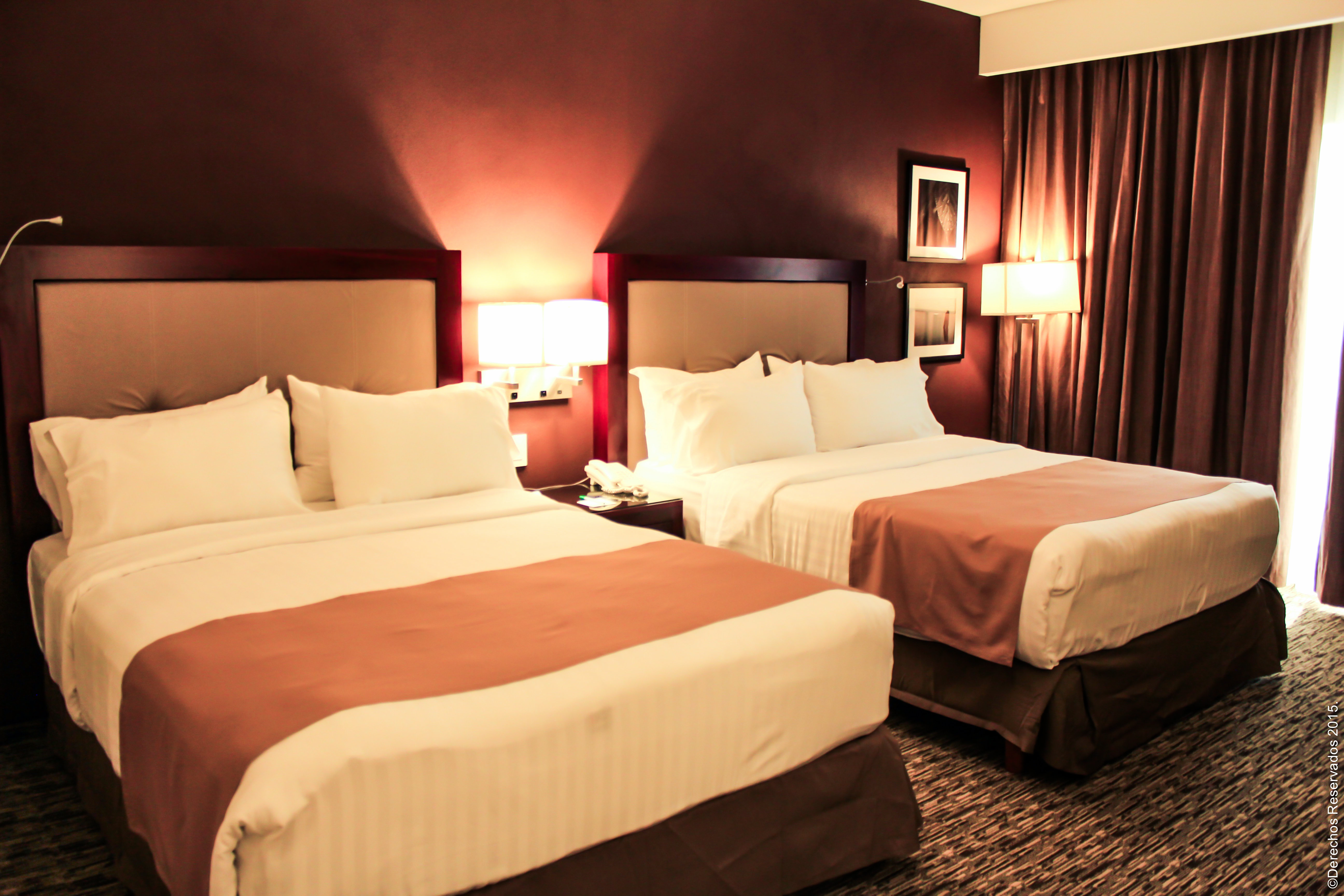 Holiday Inn Leon 15/50