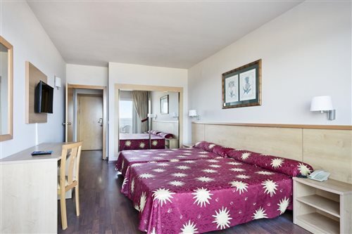 Room, Double Bed