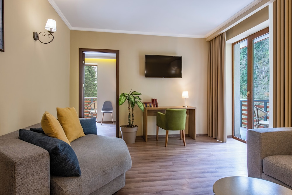 Sairme Hotels & Resorts 20/37
