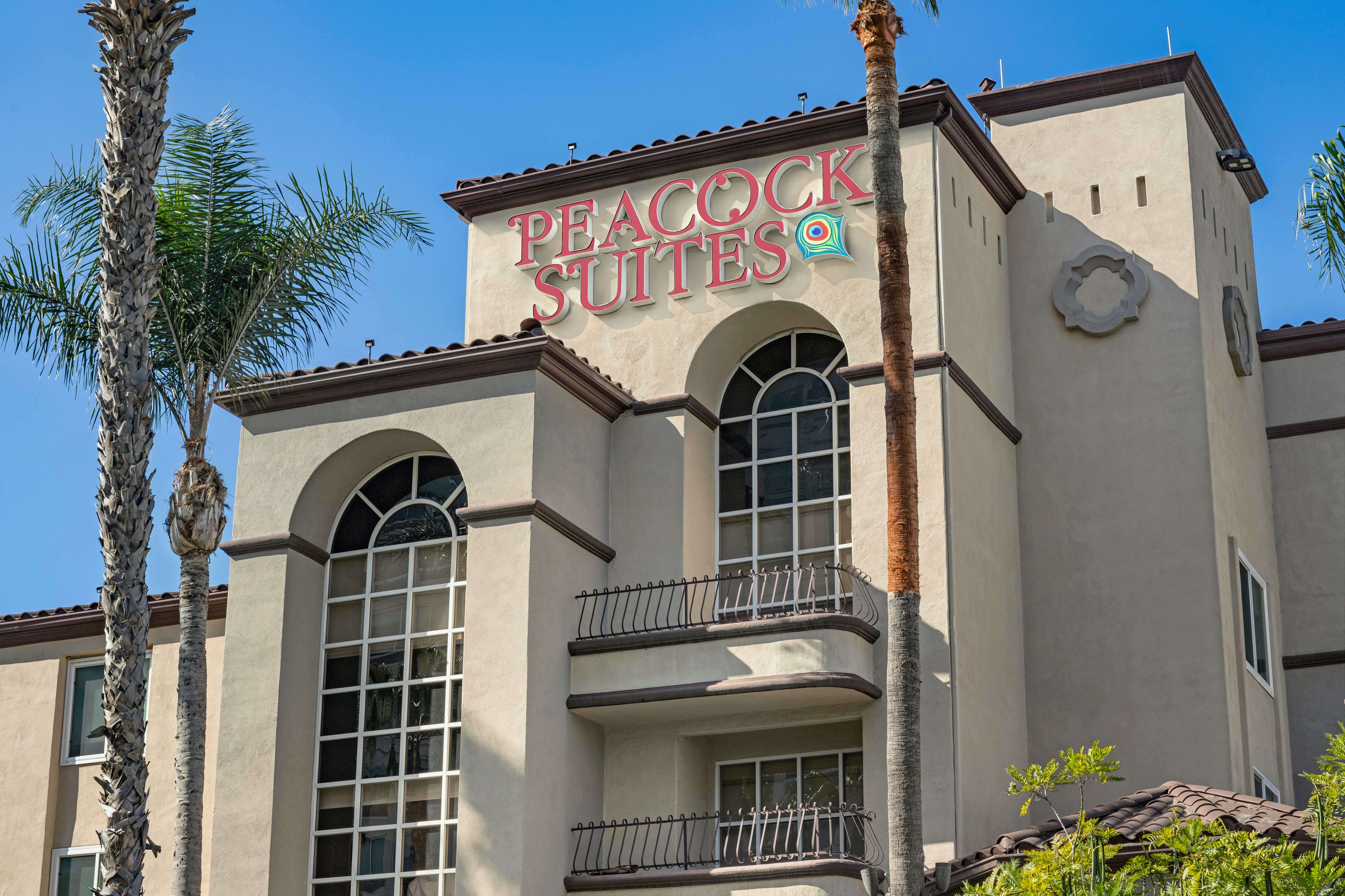 Peacock Suites photo2