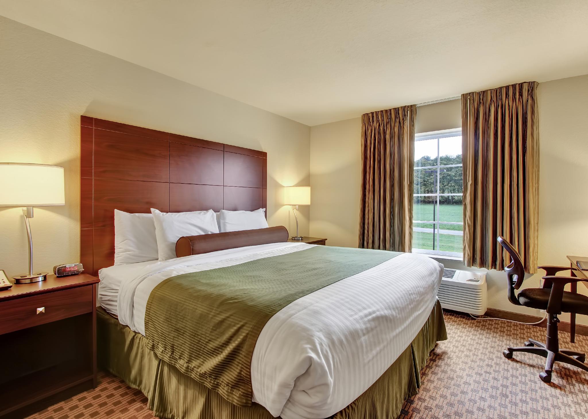 Studio, Suite, King Bed