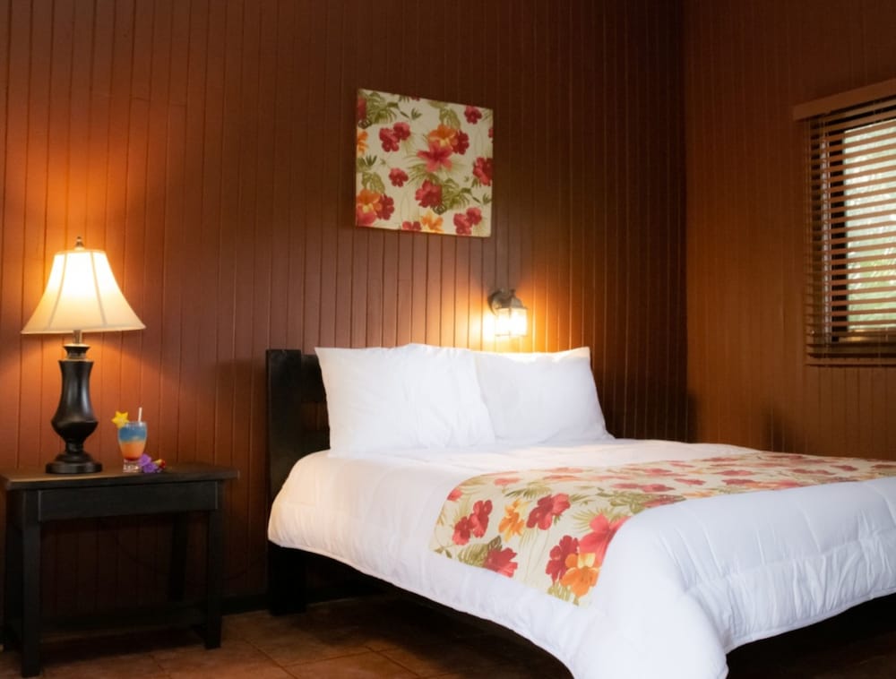 Buena Vista Del Rincon Eco Adventure Park, Hotel & Spa 39/66