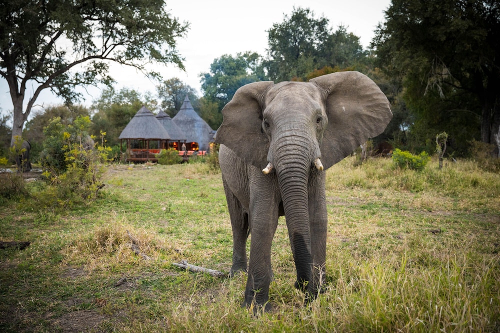 Hoyo Hoyo Safari Lodge photo2