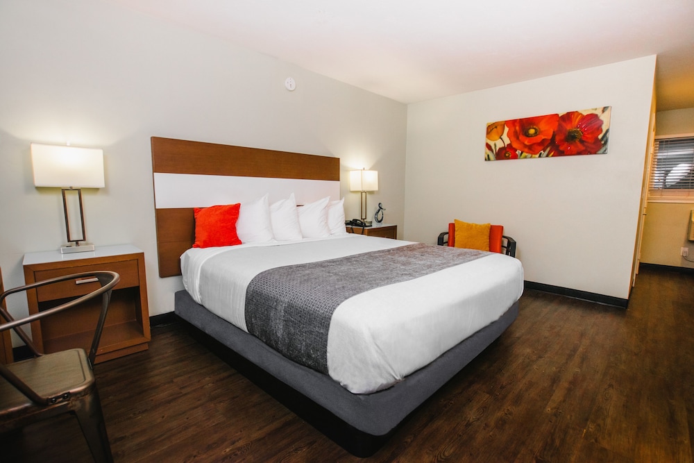 STANDARD, KING BED, ACCESSIBLE