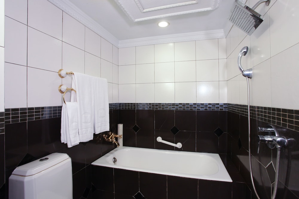 Charming City Sungshan Hotel 44/50
