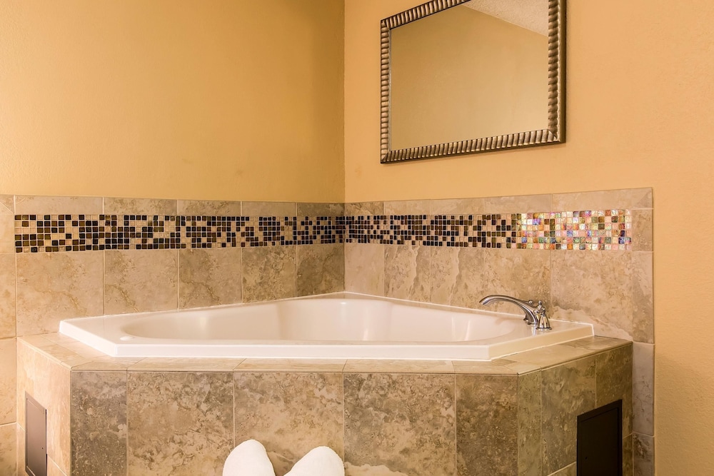 Econo Lodge Inn & Suites Foley-North Gulf Shores 23/40