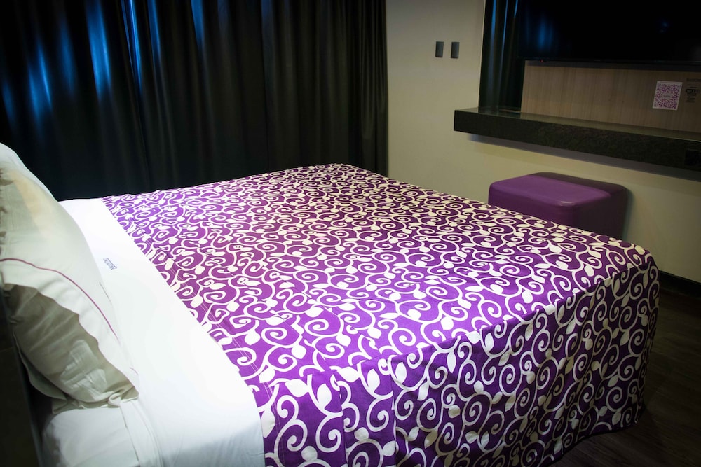 MAXINTIMO HOTEL 12/22