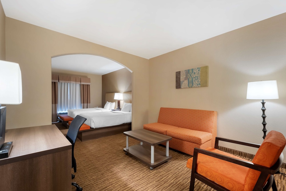 Best Western Plus DFW Airport Suites 17/43