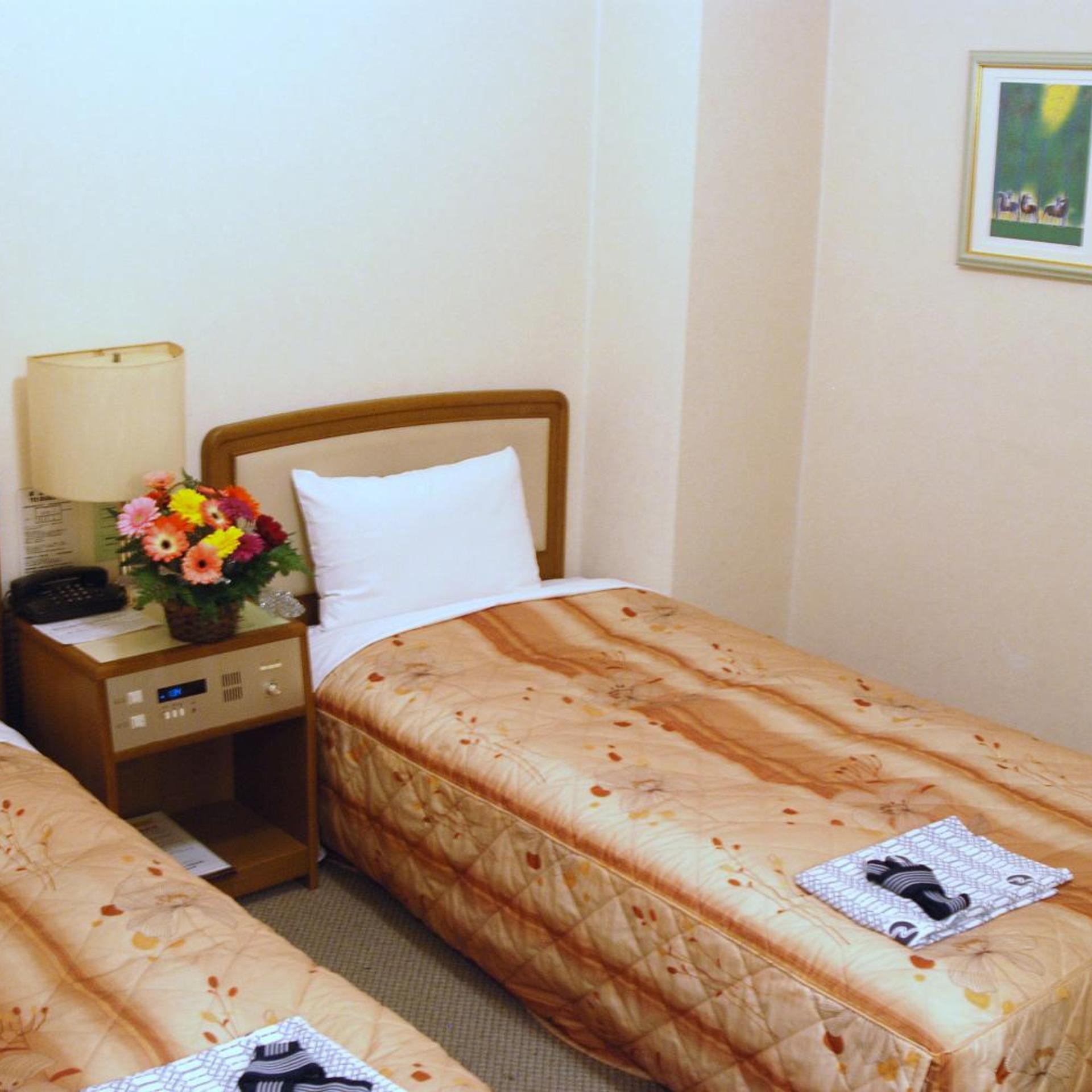 ROOM, TWIN BEDS, SMOKING