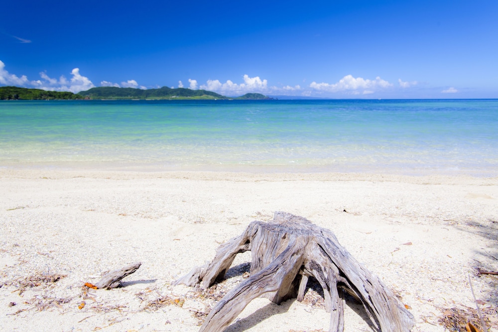 Ishigaki Seaside Hotel 33/50