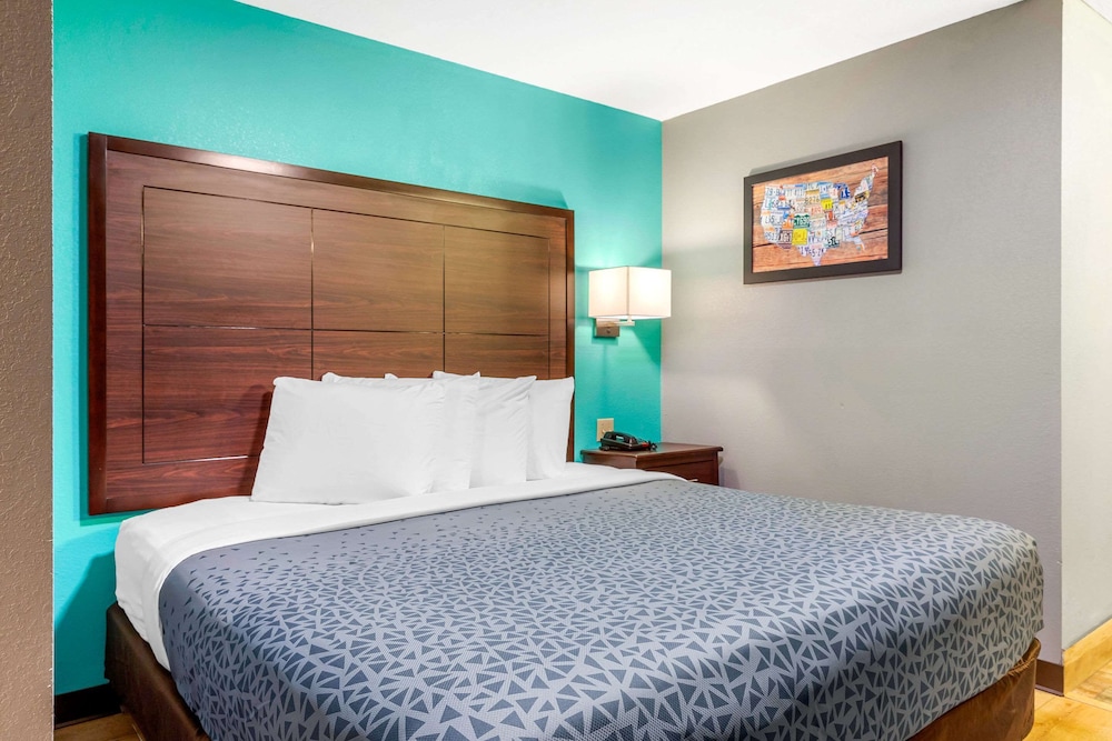 SUITE, KING BED