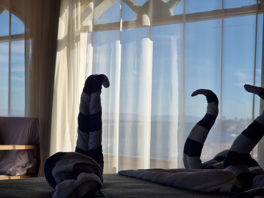 Bedouin Moon Hotel 28/50