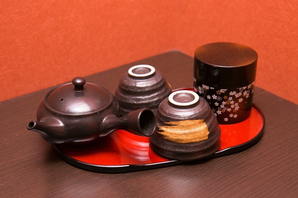 タビスト スパークリング ドルフィンズ イン京都(旧 スパークリング ドルフィンズ イン京都) 写真5