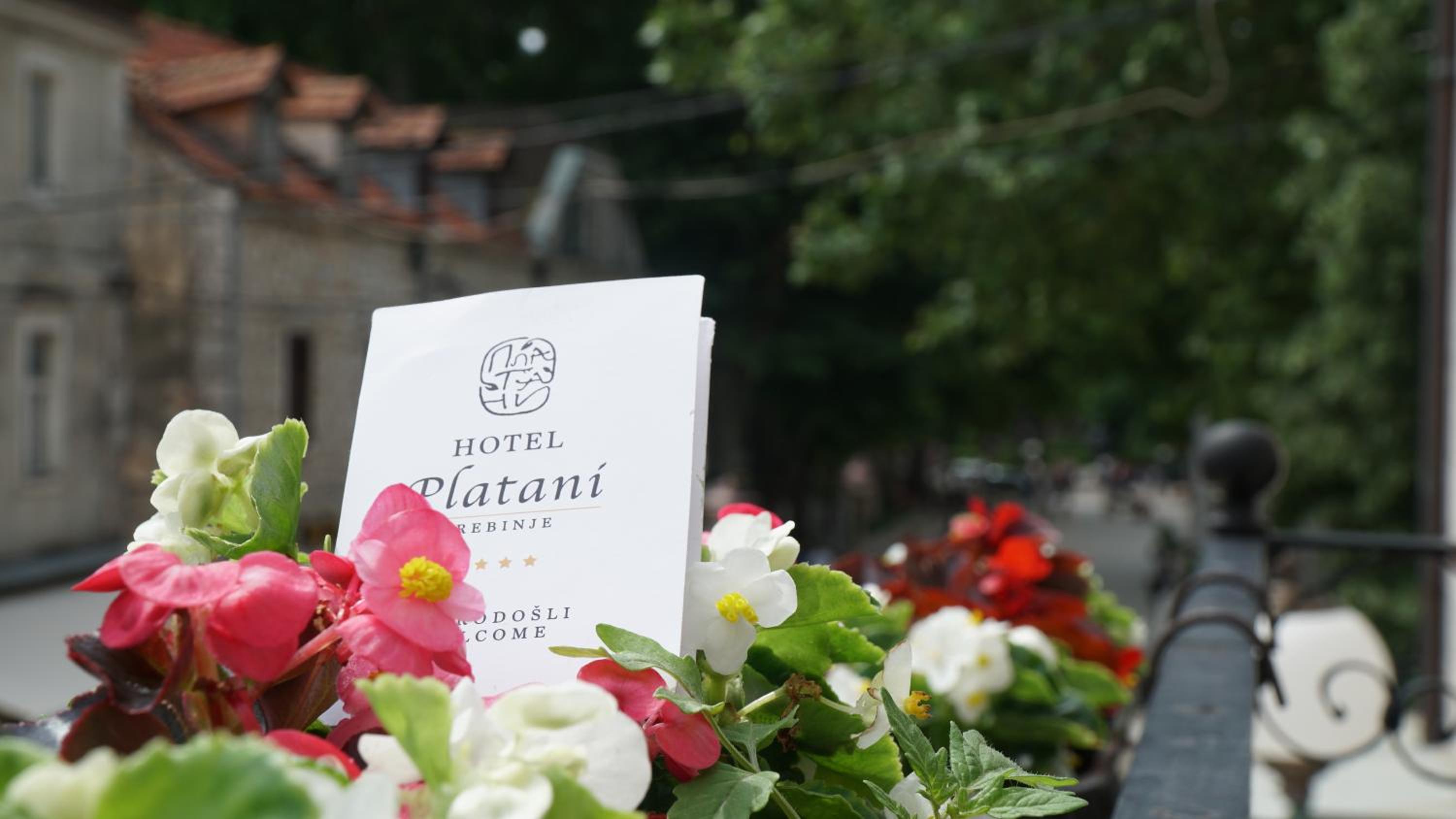 Hotel Platani 28/55