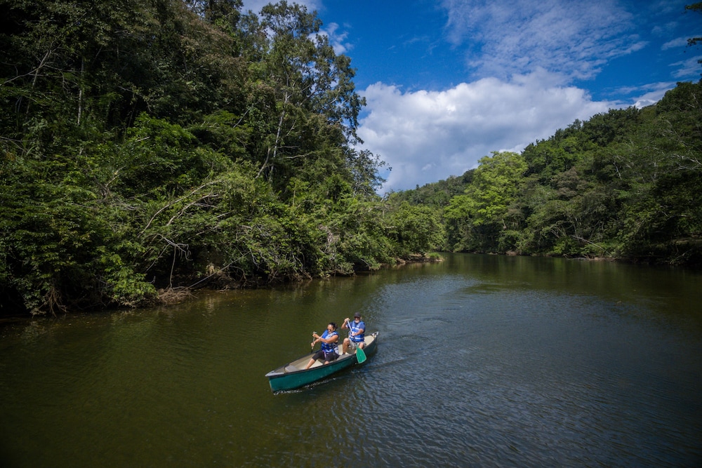 Table Rock Jungle Lodge 42/65