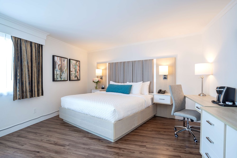 Best Western Dorchester Hotel 8/36