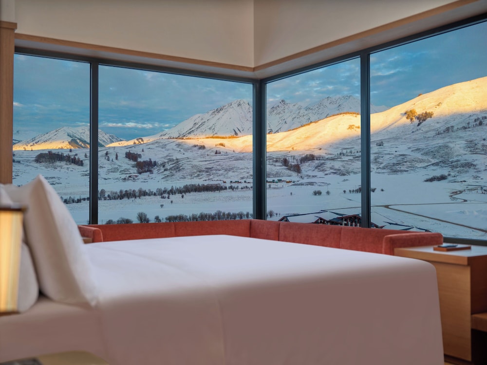 Hilton Altay Hemu 16/43