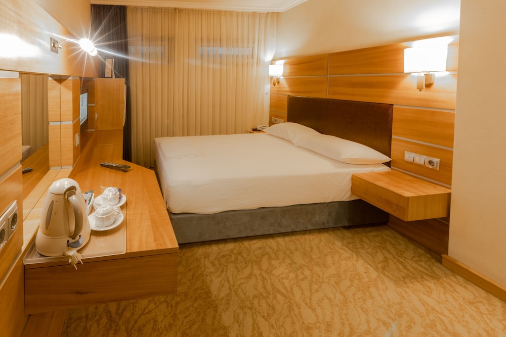 Ankara Plaza Hotel 33/66