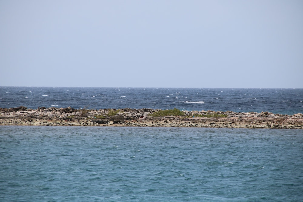 Coral Reef Beach Aruba 33/50