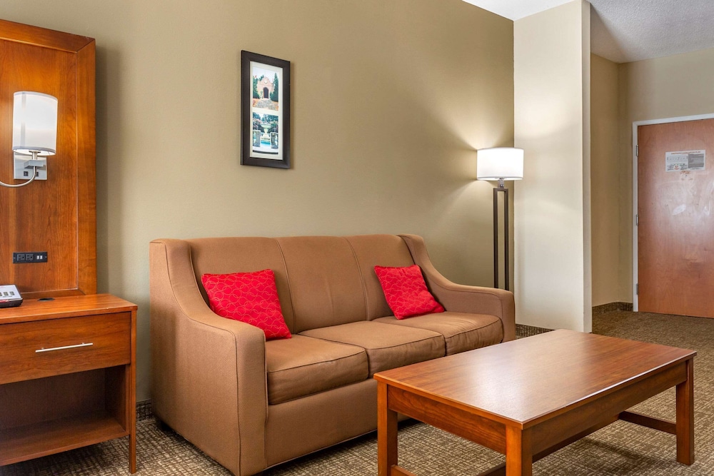Comfort Suites Clayton Garner 18/31