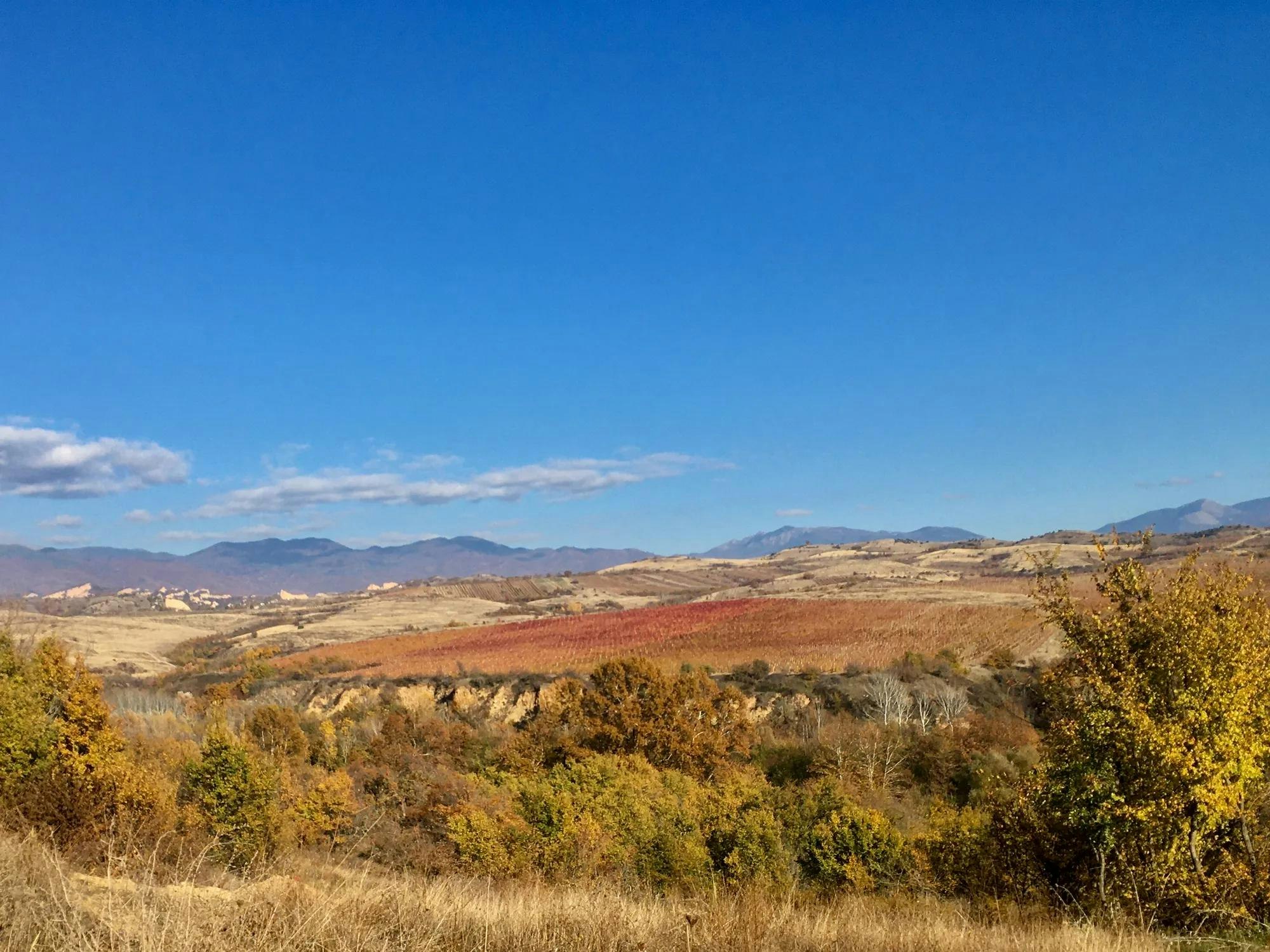 Zornitza Family Estate Relais & Chateaux 36/48
