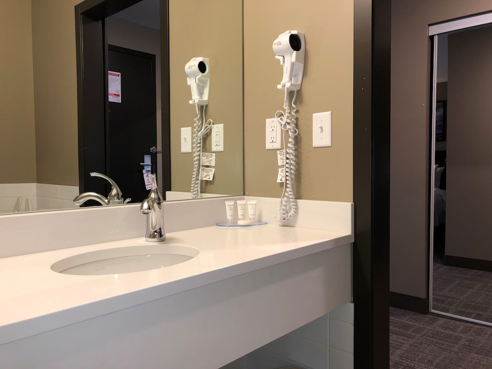 Canad Inns Destination Centre Windsor Park 38/51