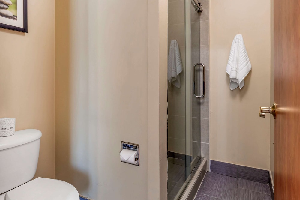 Comfort Suites North Dallas 14/31