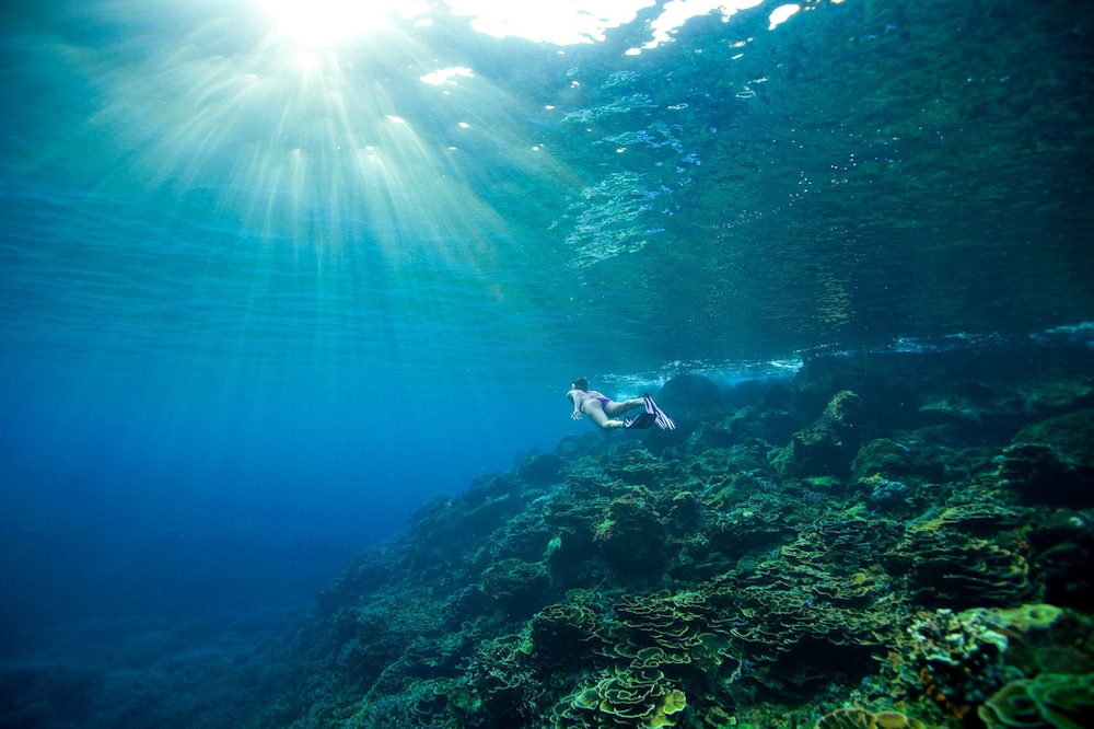Tilar Siro Andamans - A CGH Earth Experience 44/54