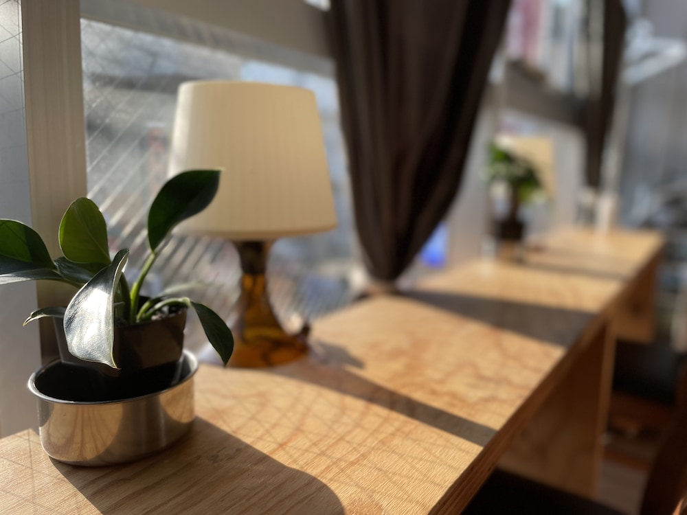 Chillulu Coffee & Hostel 42/55